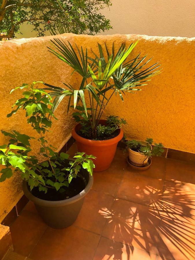 Apartamento House Maja Big App Medulin Exterior foto